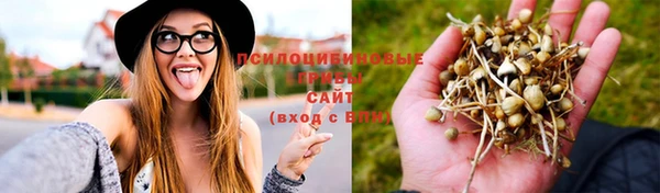 твердый Алексеевка
